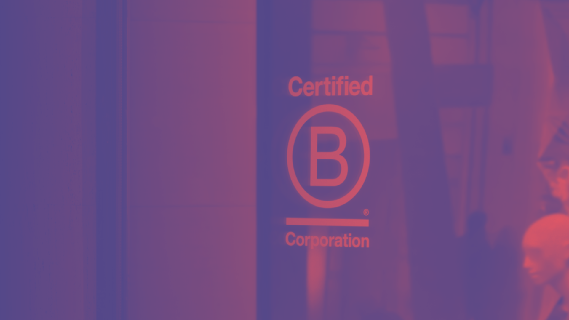 Empresas B
